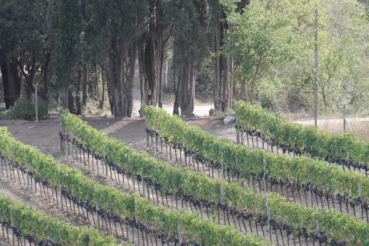 Agriturismo Il Poderuccio Castiglione d'Orcia Farm stay